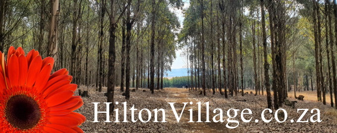 HiltonVillage.co.za