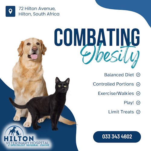 hilton vet hospital march 2024