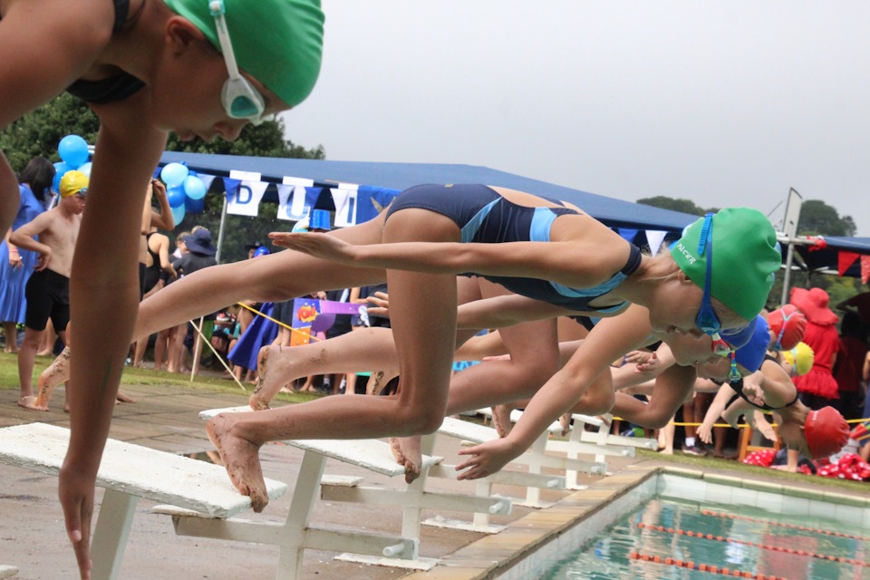 ladds gala 2024 dive