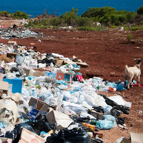 plastic pollution