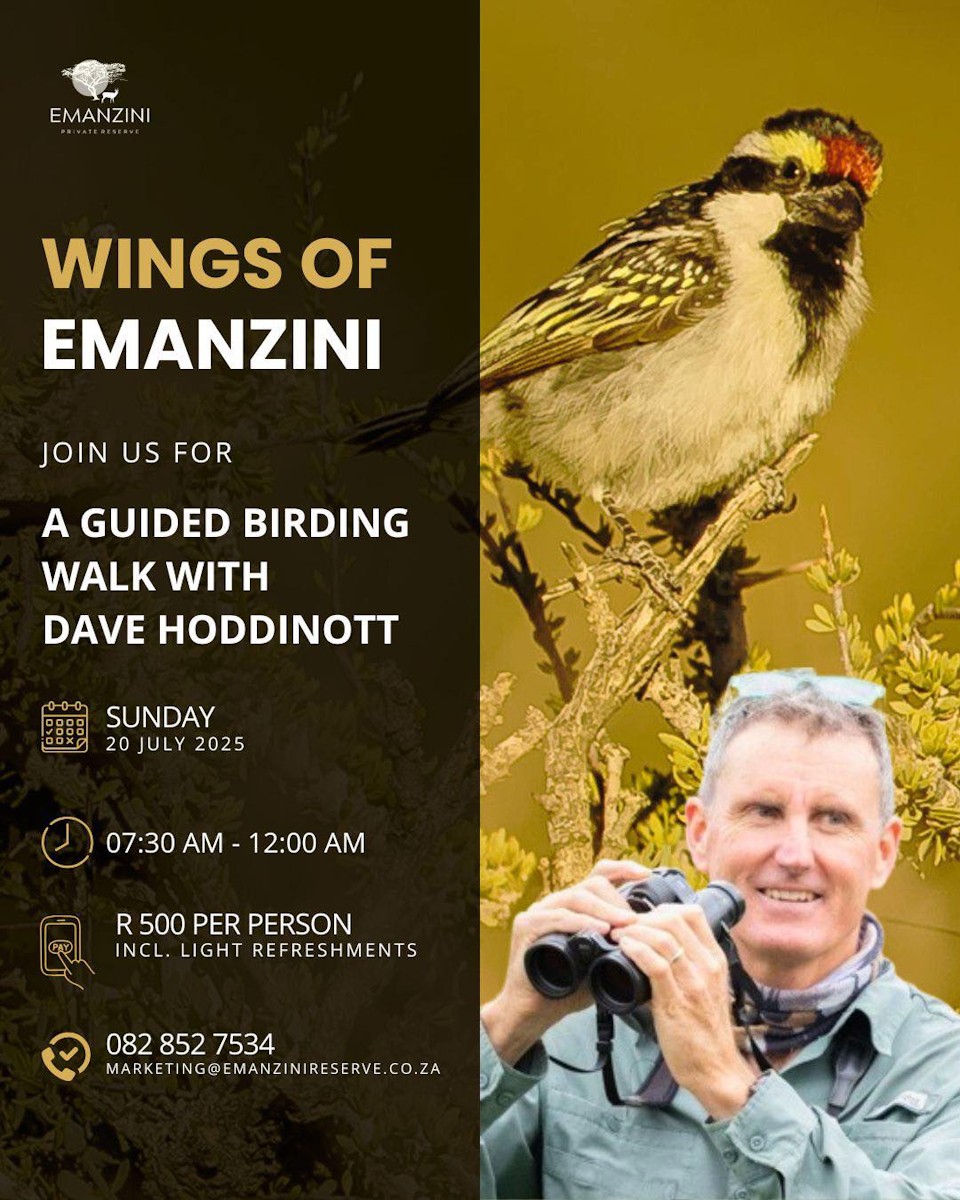 20 july hilton bird walk