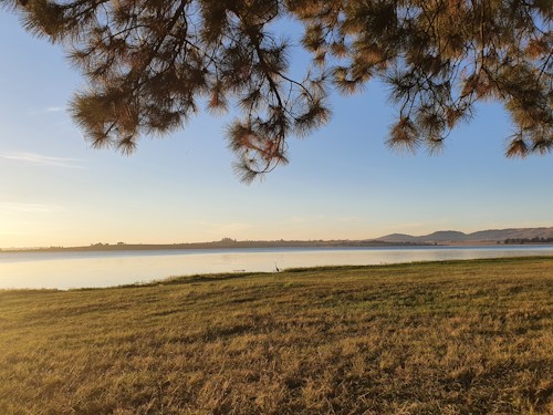 midmar dam