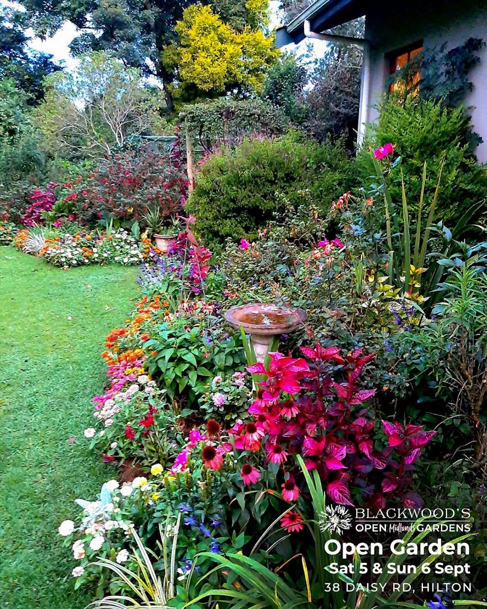 5 and 6 sepy 38 daisy road open garden hilton