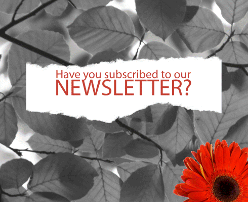 NEWSLETTER BH