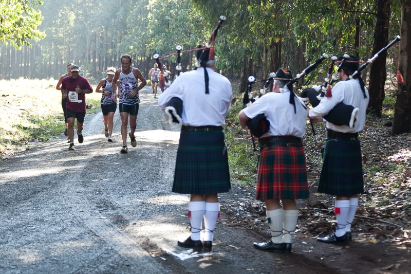 PIPERS IN THE MONDI FORRESTS