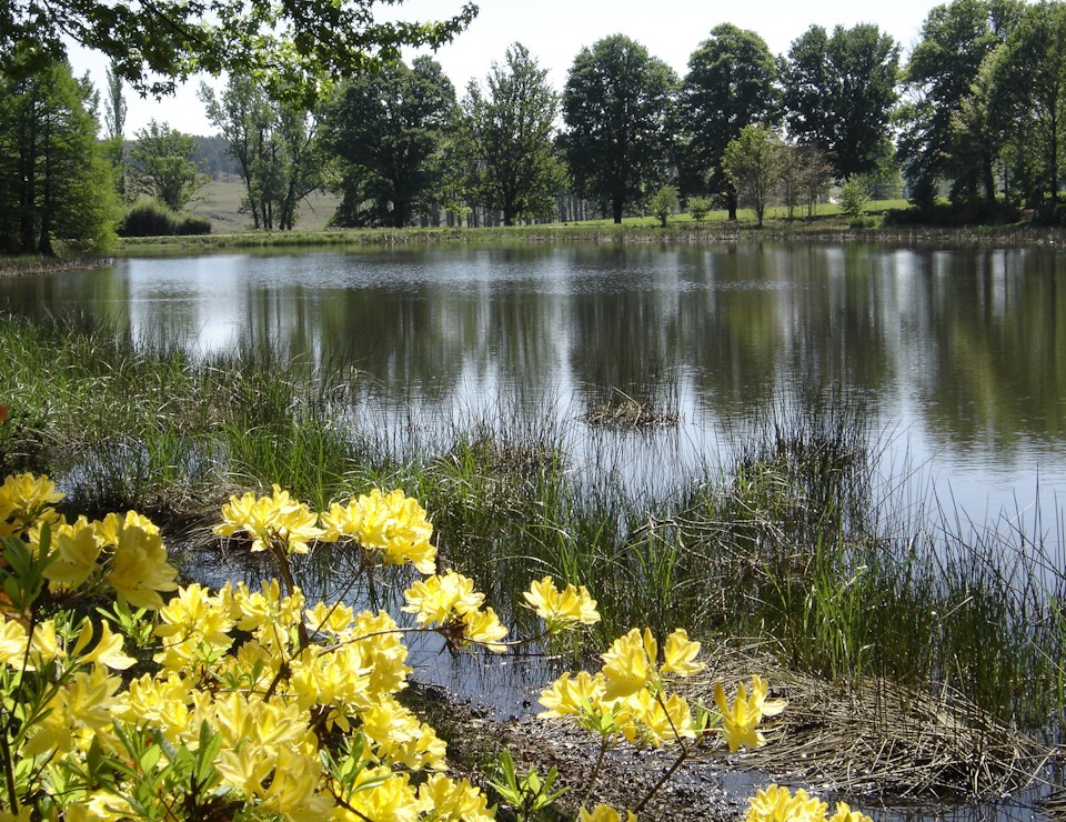 benvie 2023 pond