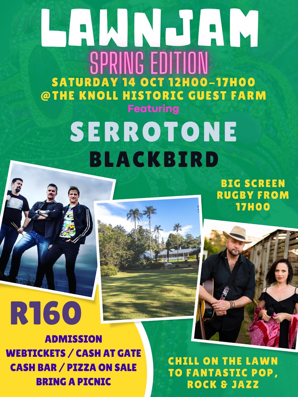 big screen hilton world cup rugby