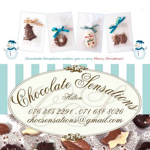 choc sense hilton news