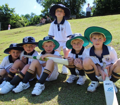 cricket grade 1