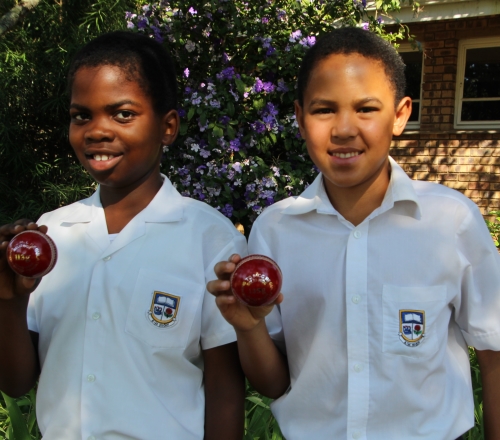 cricket stars