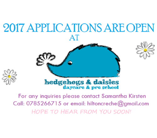 daisies 2017 news copy copy