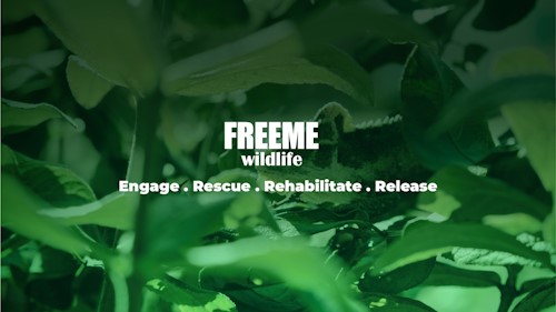 freeme wildlife