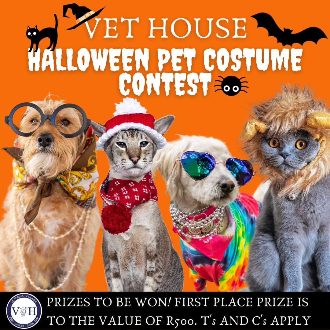 halloween umgeni vet