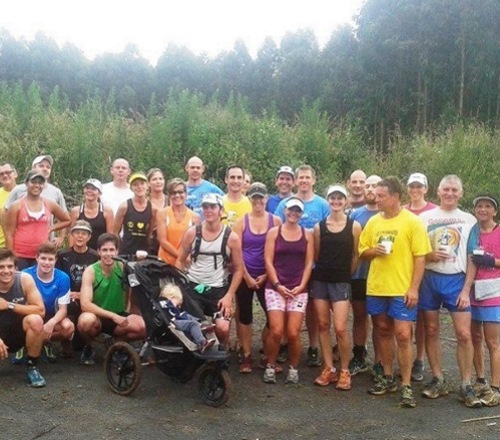 harriers 2