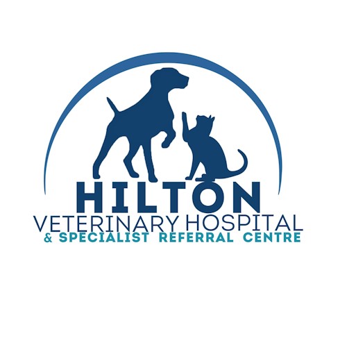 hilton vet 2023