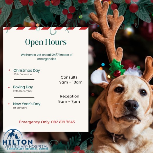 hilton vet dec 2023 hours