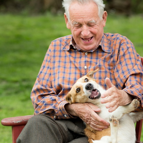 age with pet nov 2022