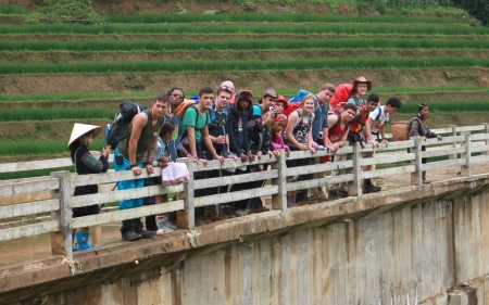 Vietnam grace college