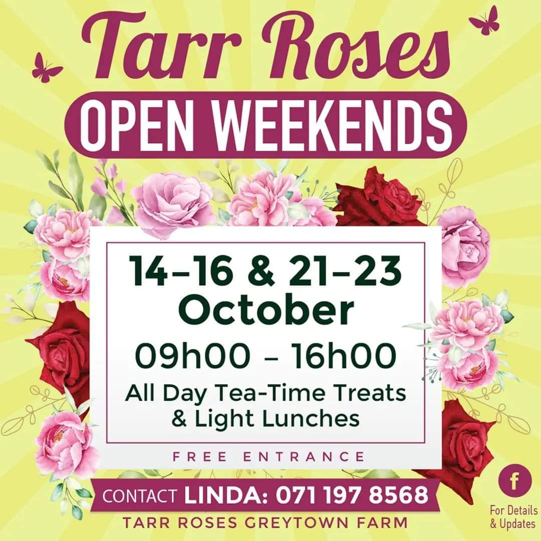 tarr rose foram 2022