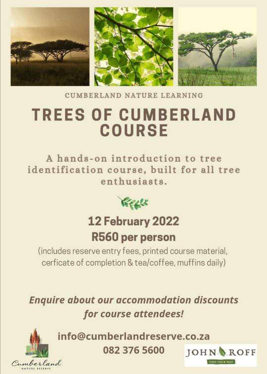 trees of cumberland