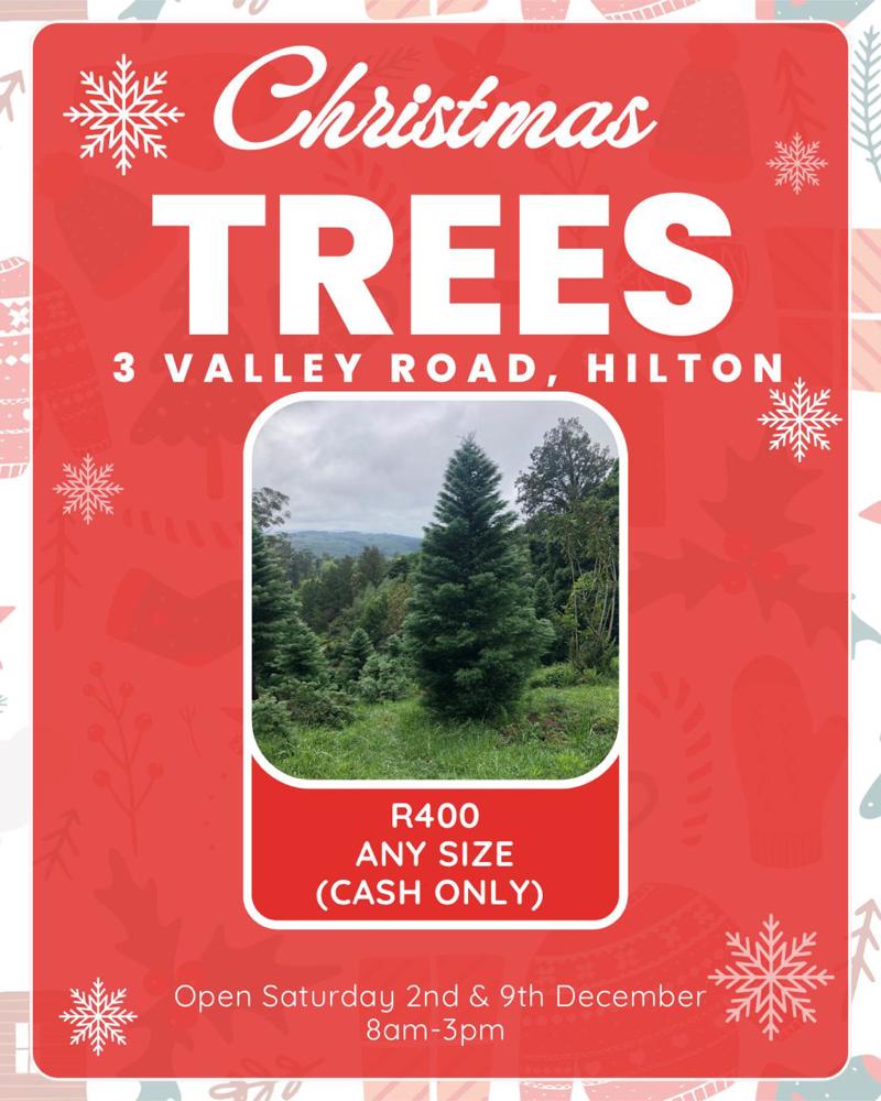 2 and 9 dec christmas trees BOTH