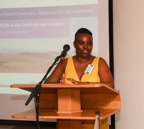 sanbi bootcamp 2023 top