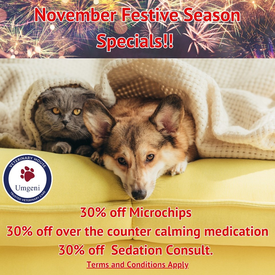 umgeni vet fireworks deals 2023