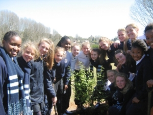 St Annes Arbour Week