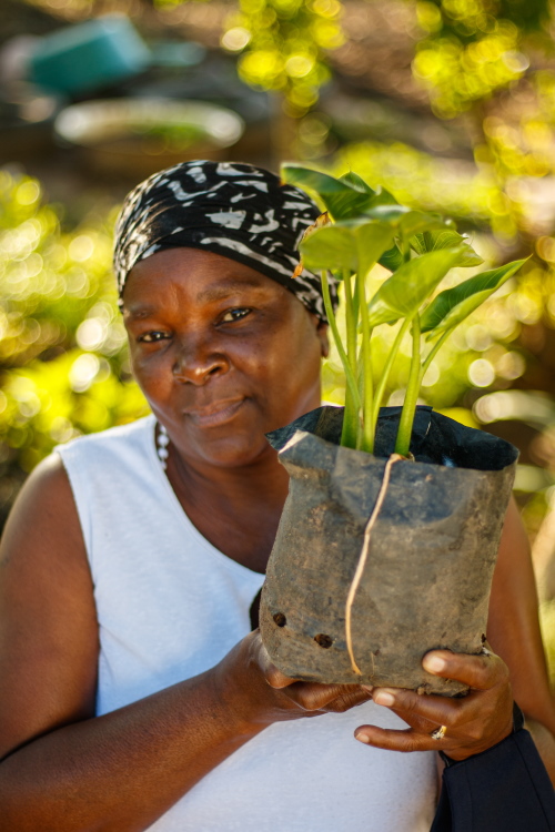 Thembi Msomi Treepreneur 3 Credit M Zuma