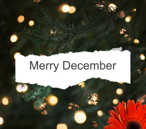 merry december 2022 festive trading times hilton