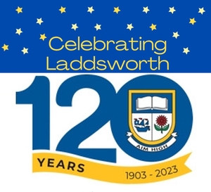 cover ladds 120