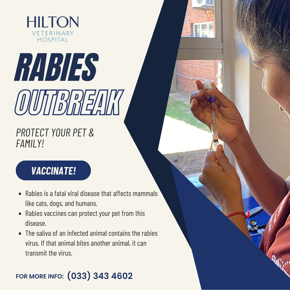 hilton vet may 2023 rabies alert