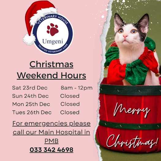 umgeni vet christmas