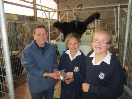 67 minutes for madiba spca fundraiser 2