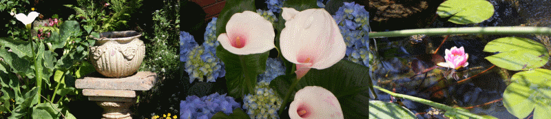MariansGardenFooter