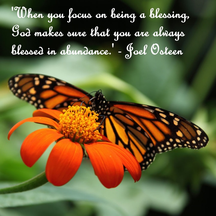 abundance workshop