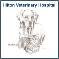 banner2 hilton vet