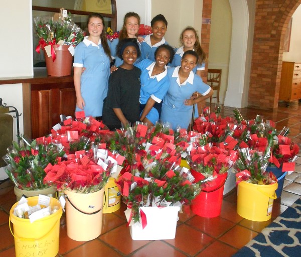 st annes roses