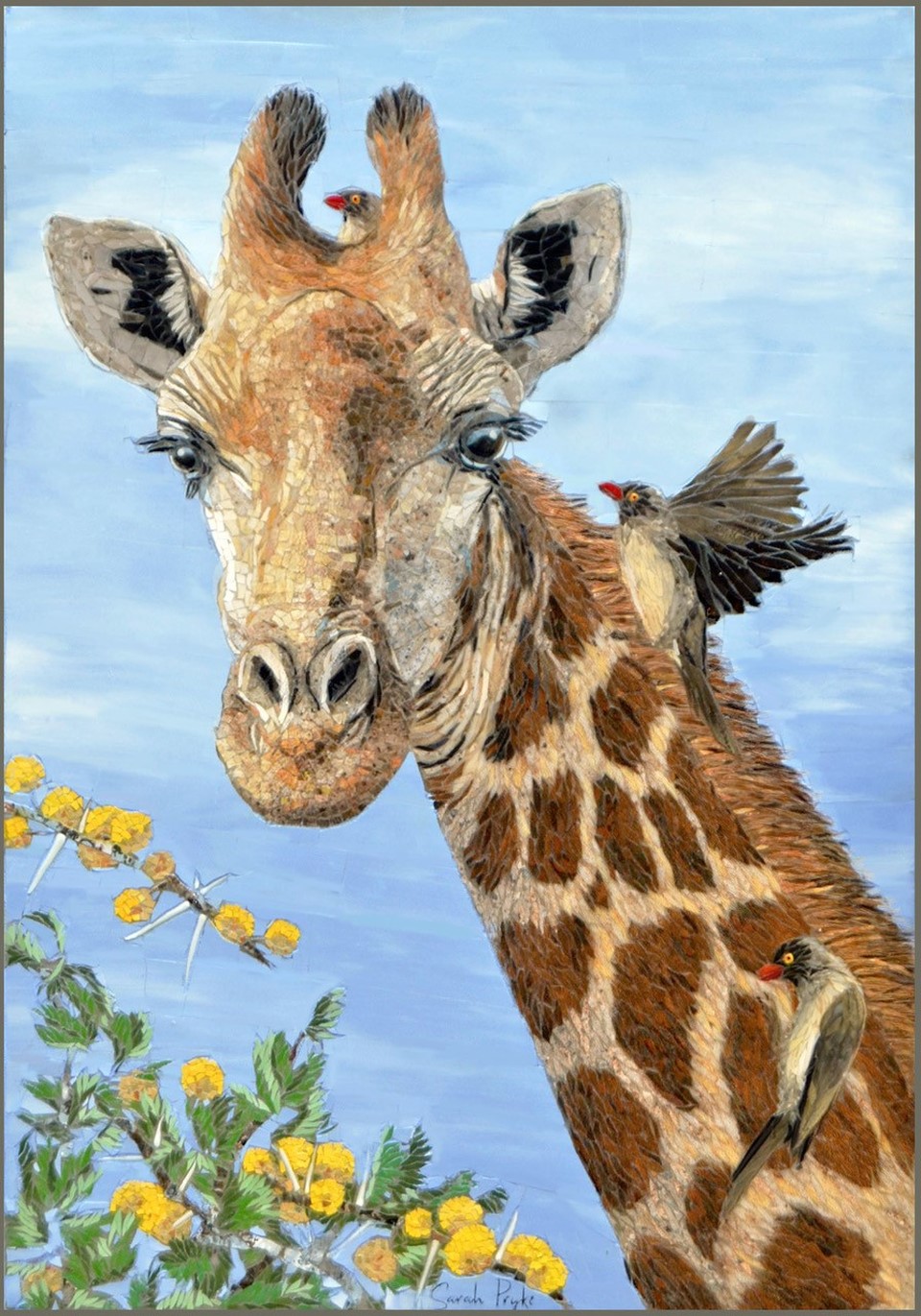 giraffe by sarah pryke