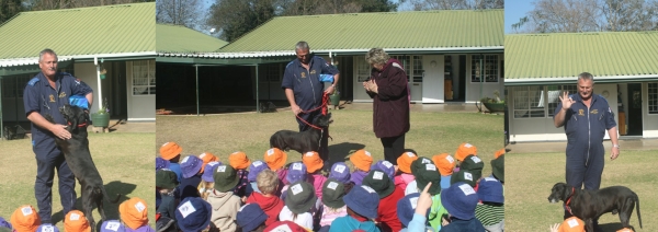 hilton pre primary footer