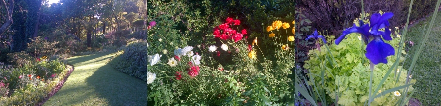 ken collins garden footer