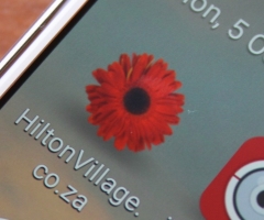 app hiltonvillage.co.za news