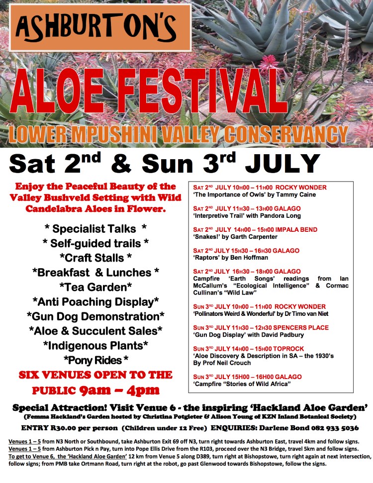 aloe festival flyer 750