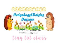 hedgehogs and daisies daycare tiny tot classes 240x200