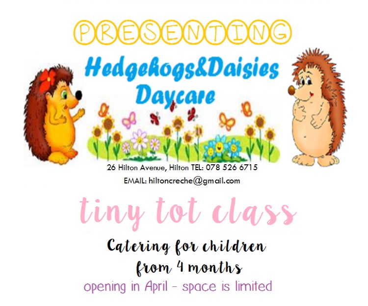 hedgehogs and daisies daycare tiny tot classes 750