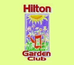 hilton garden club