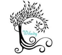 wilady salon logo 250x2220