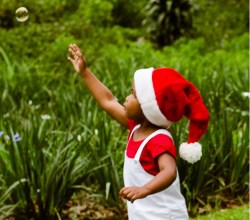 christmas wished from singakwenza250x220