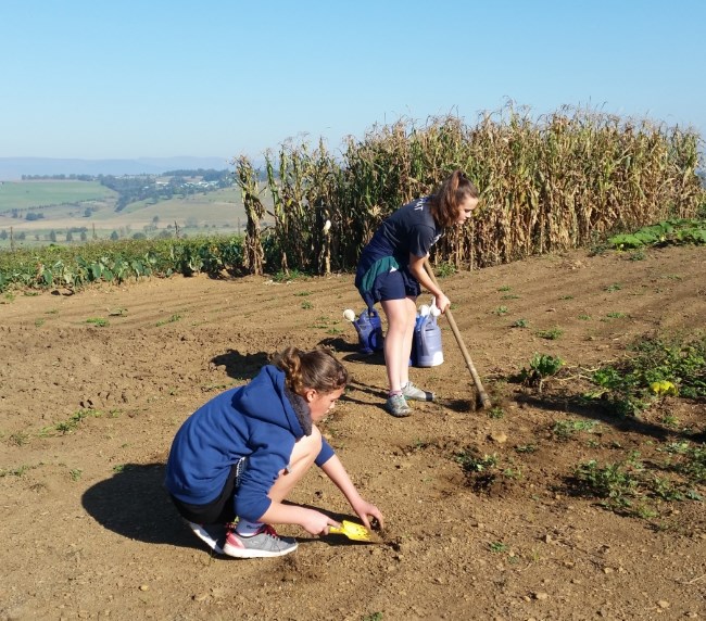 emandleni planting media 002