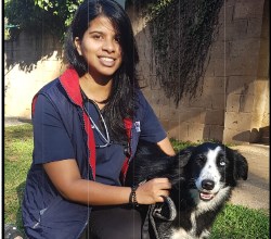 sujatha hilton vet hospital